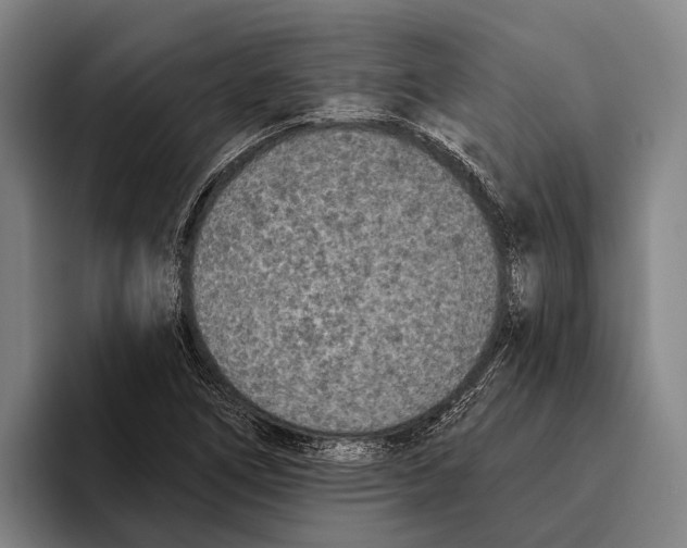 X0000096131266200802151307