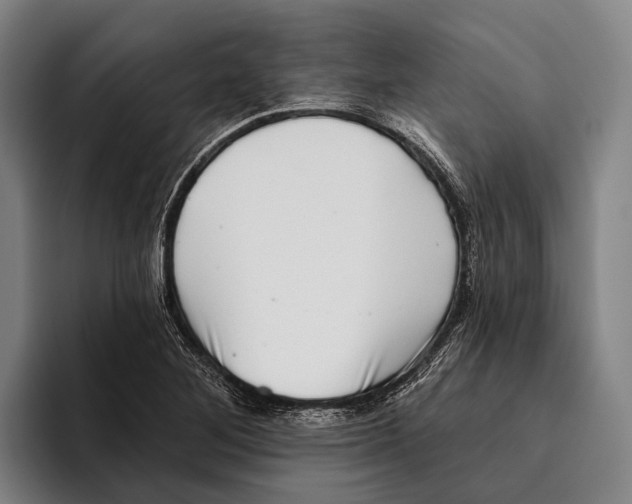 X0000096131268200802151307