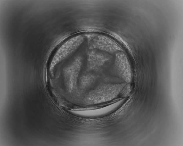 X0000096131269200802151307