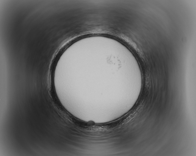 X0000096131270200802151306