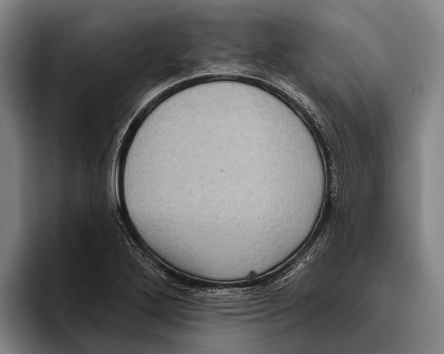 X0000096131272200802151306