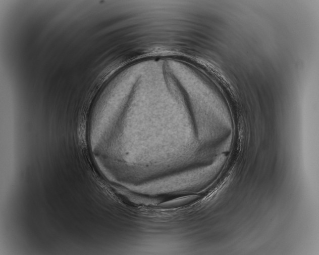 X0000096131273200802151306