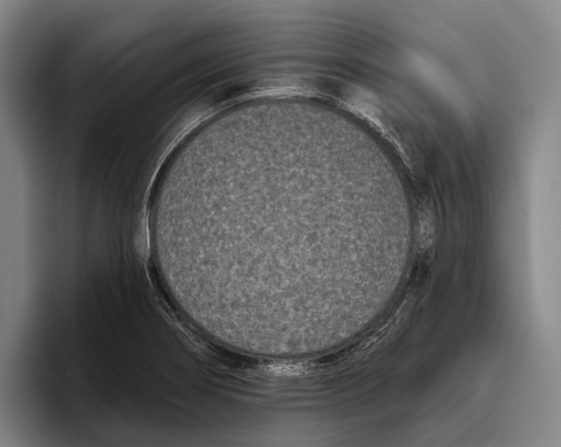 X0000096131274200802151306