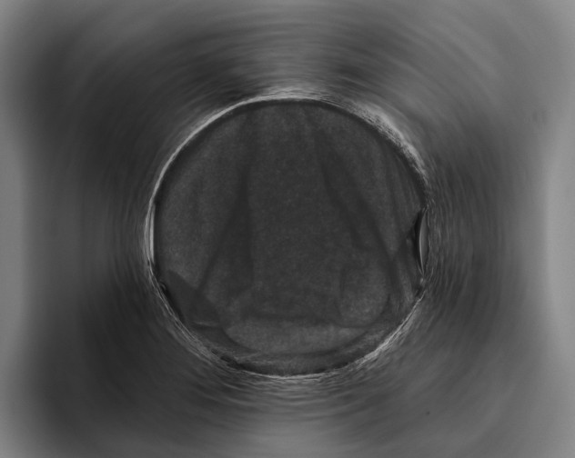 X0000096131276200802151306