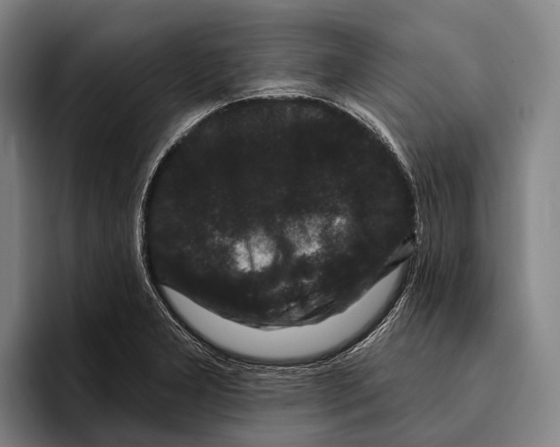 X0000096131277200802151306