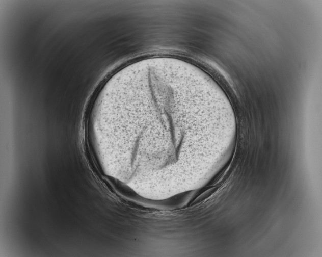 X0000096131280200802151306