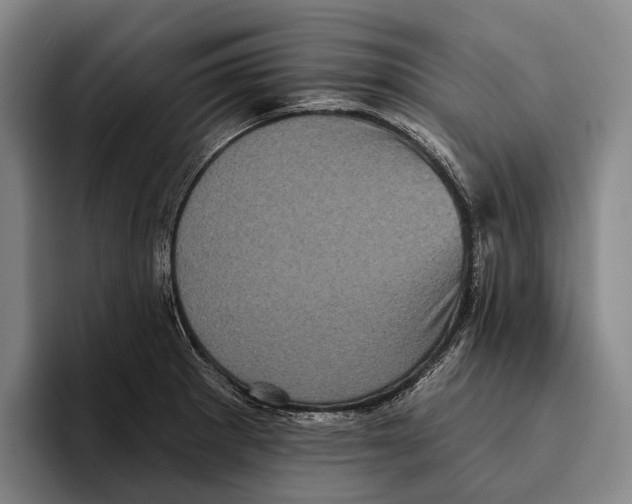 X0000096131281200802151306