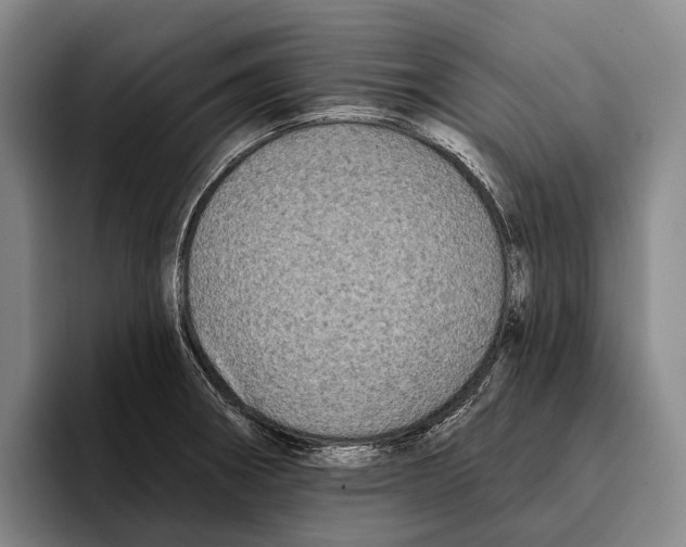 X0000096131282200802151306