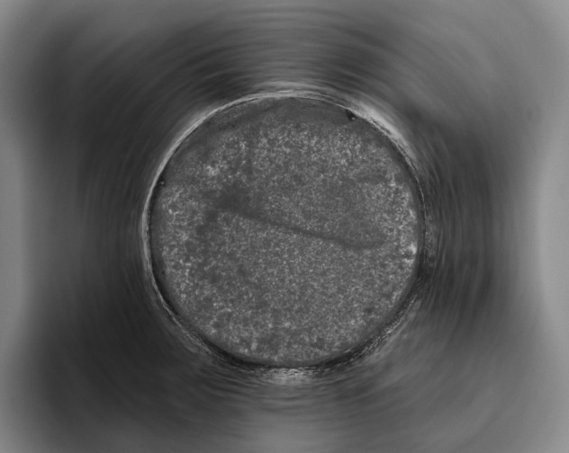 X0000096131283200802151306