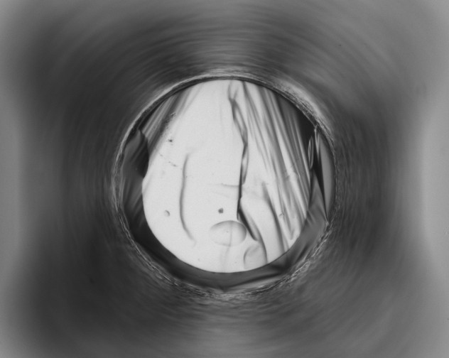 X0000096131284200802151306