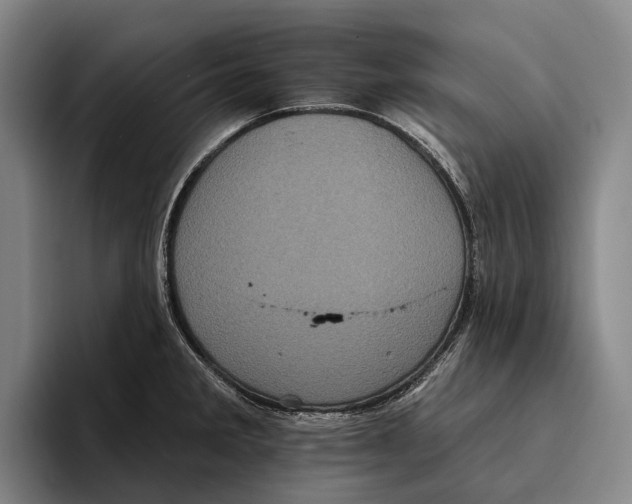 X0000096131285200802151306