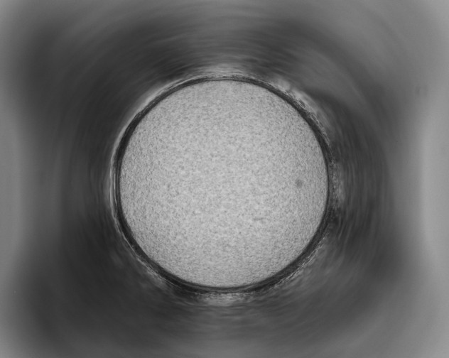 X0000096131286200802151306