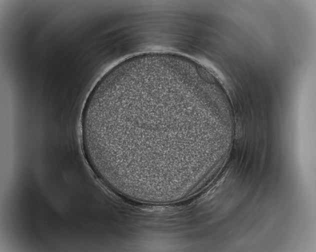 X0000096131287200802151306