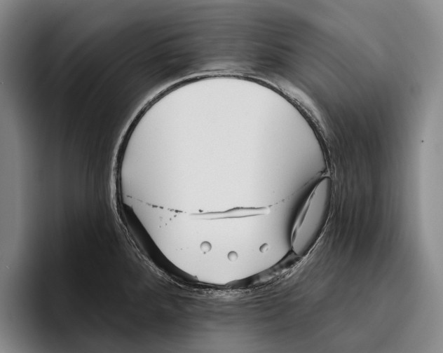 X0000096131288200802151306