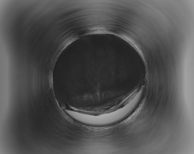 X0000096131289200802151306