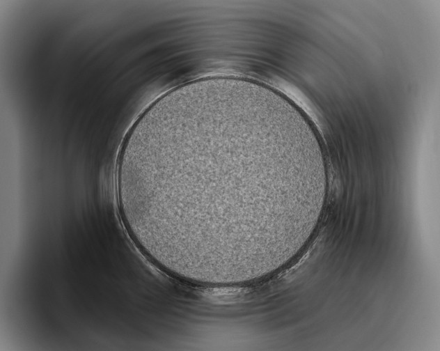 X0000096131290200802151306