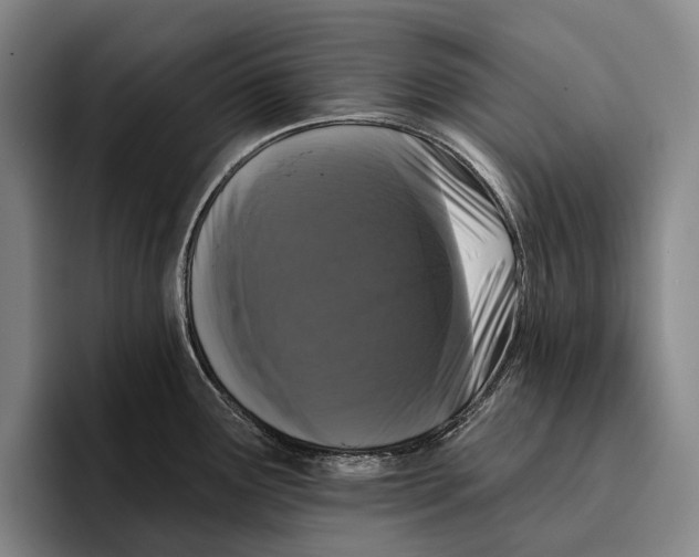 X0000096131291200802151306