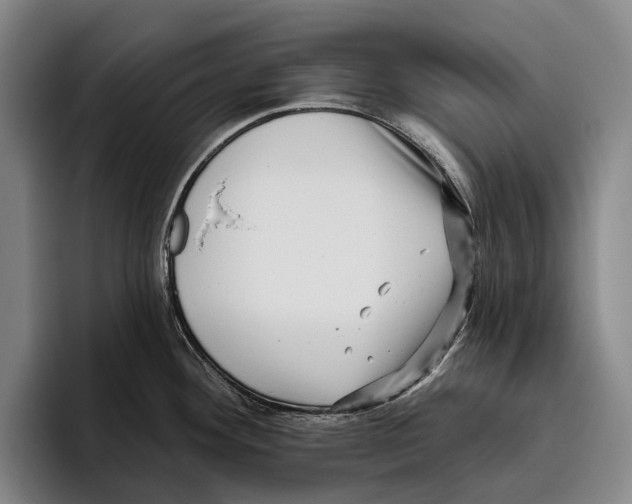 X0000096131292200802151306