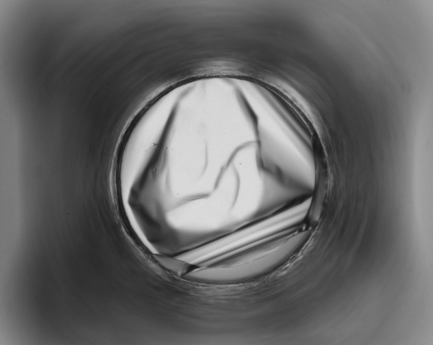 X0000096131293200802151306