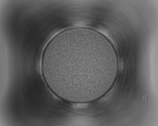 X0000096131294200802151306