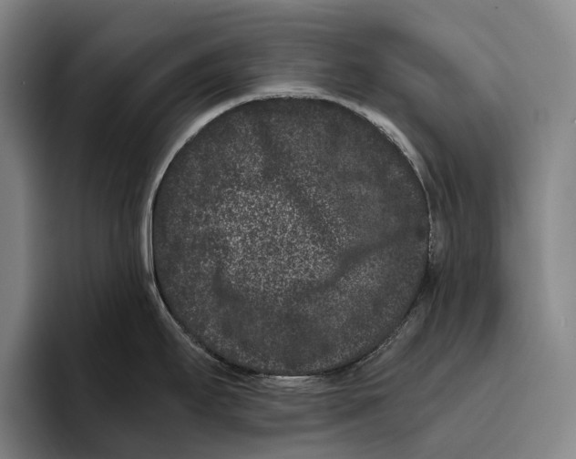 X0000096131295200802151306