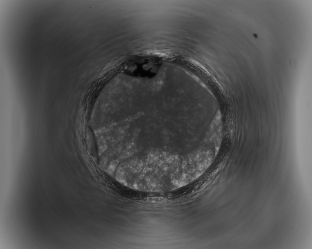 X0000096131297200802151306