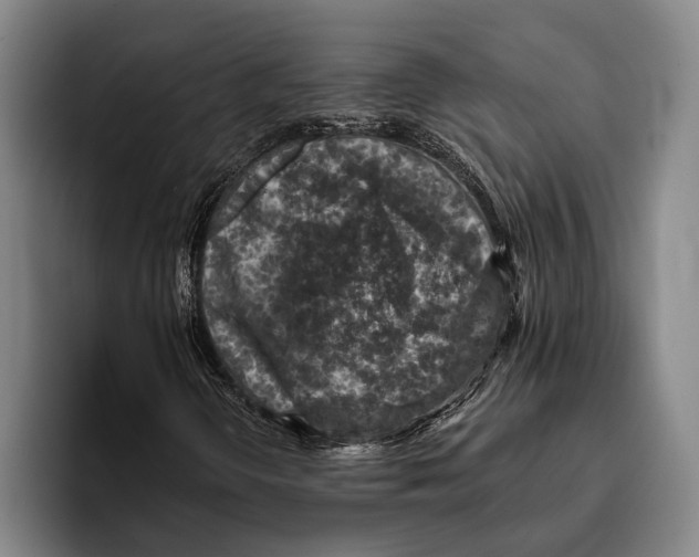 X0000096131298200802151306