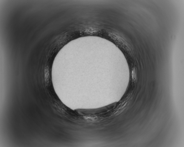 X0000096131299200802151306