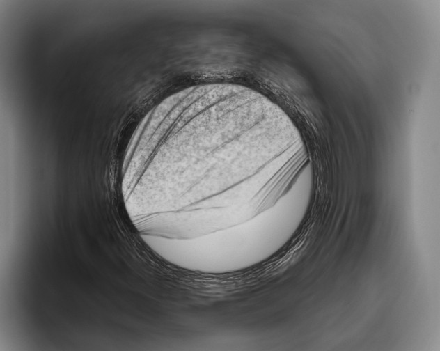 X0000096131300200802151306