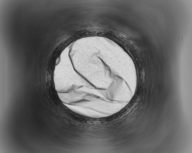 X0000096131302200802151306