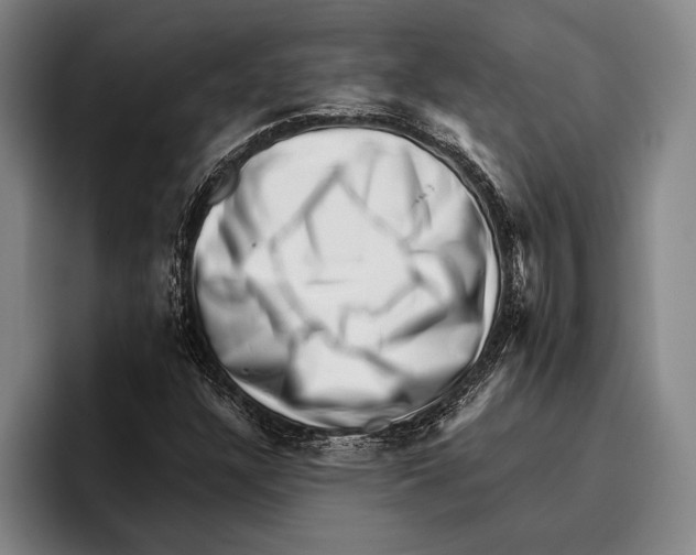 X0000096131304200802151306