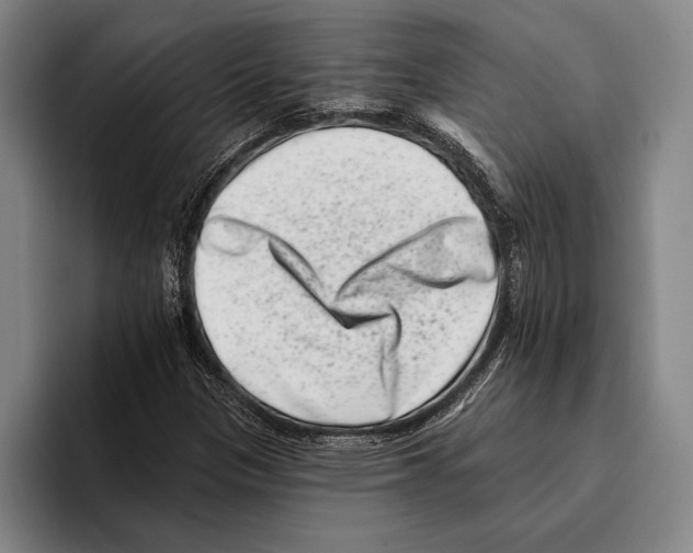 X0000096131305200802151306