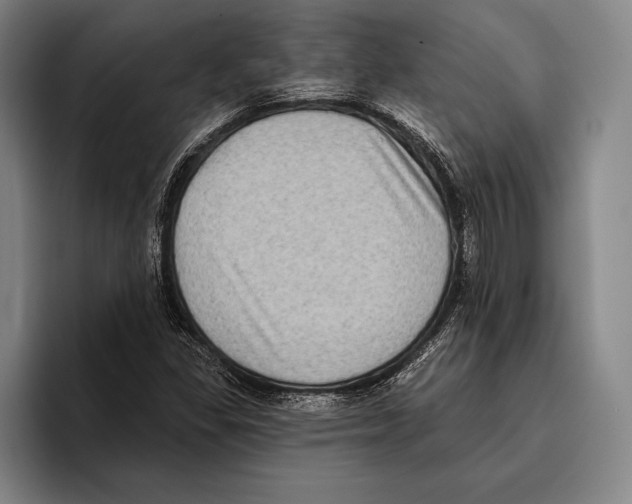 X0000096131309200802151306