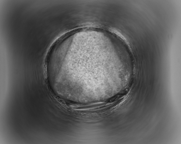 X0000096131310200802151306