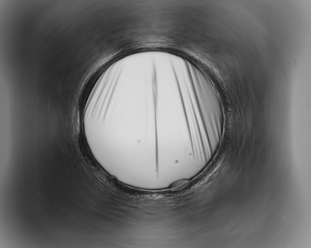 X0000096131317200802151306