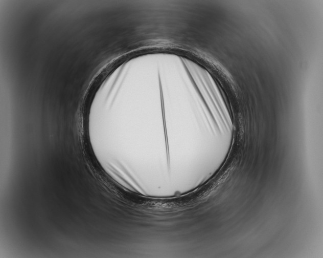 X0000096131318200802151306