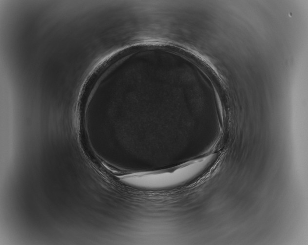 X0000096131319200802151306