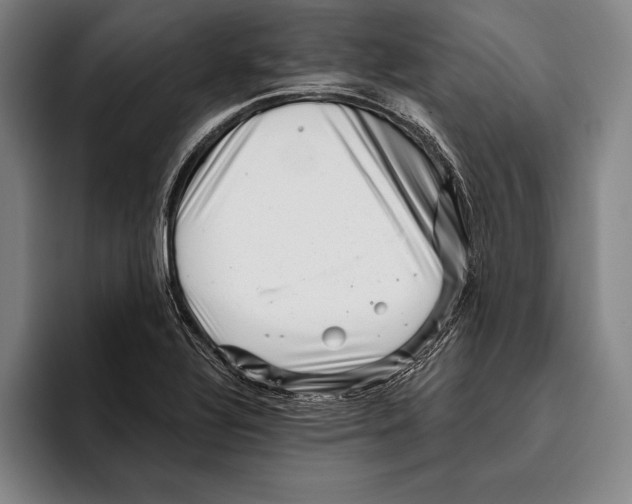 X0000096131320200802151306