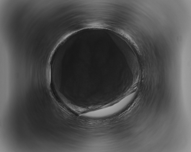 X0000096131323200802151306