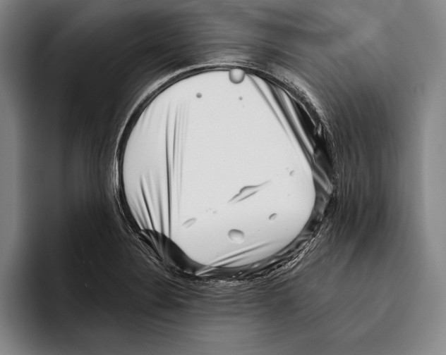 X0000096131324200802151306