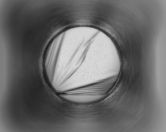 X0000096131325200802151306