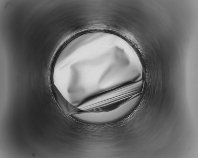 X0000096131326200802151306