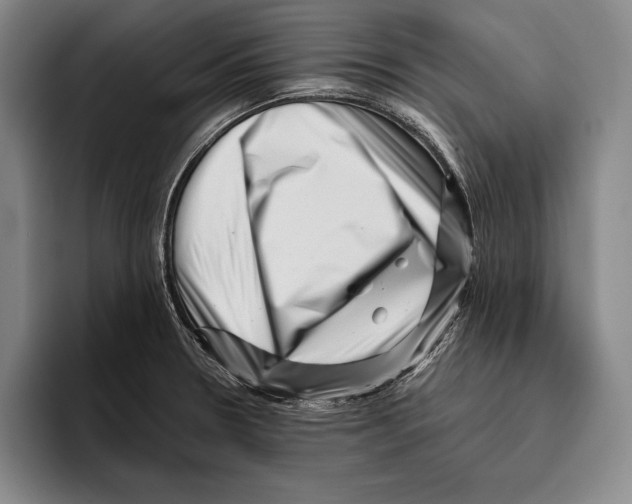 X0000096131330200802151306