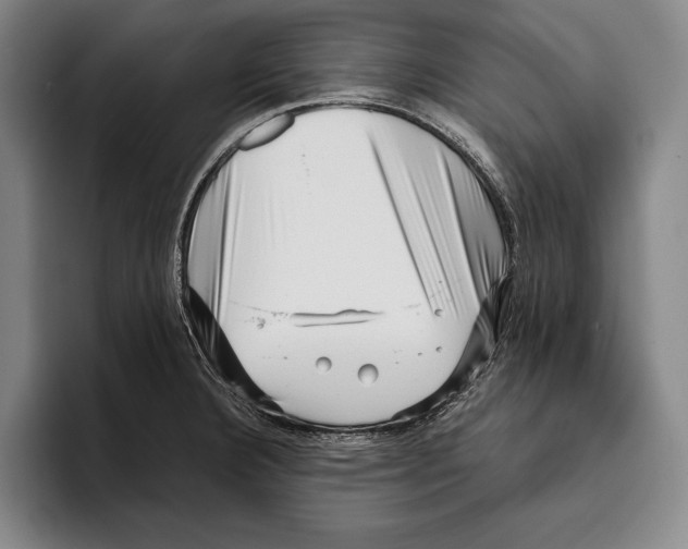 X0000096131332200802151306