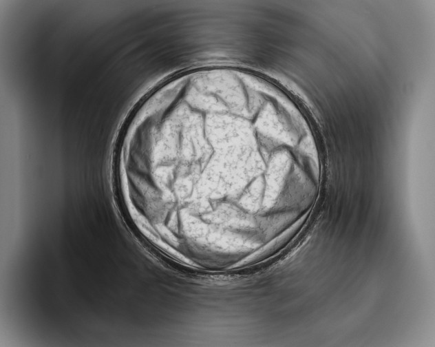 X0000096131333200802151306