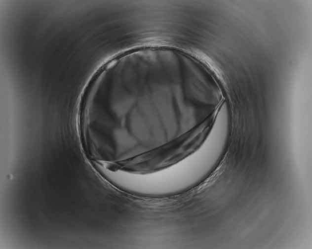 X0000096131334200802151306