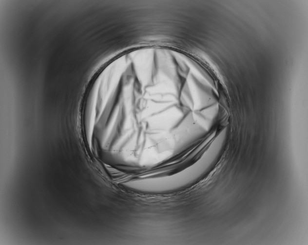 X0000096131336200802151306