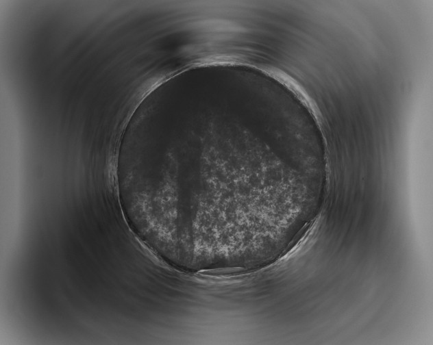 X0000096131337200802151306