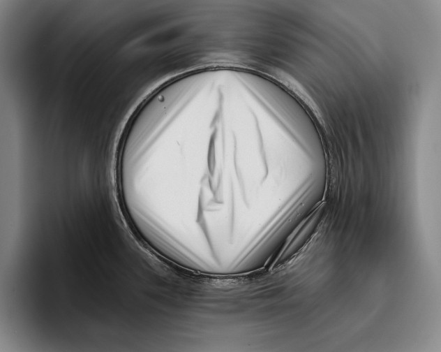 X0000096131339200802151306