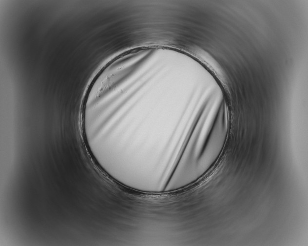 X0000096131340200802151306